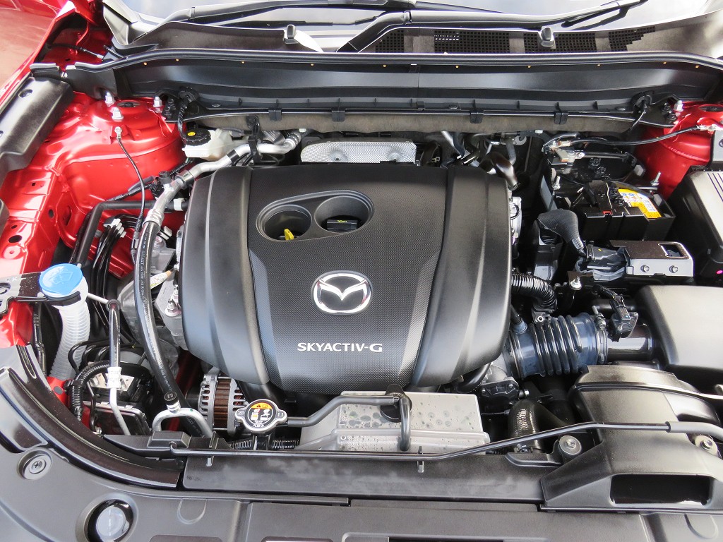 S8094921.jpg