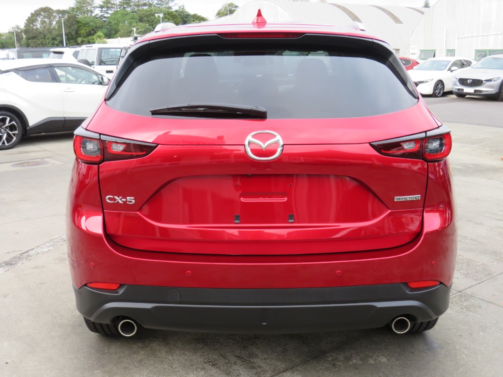 S809497.jpg