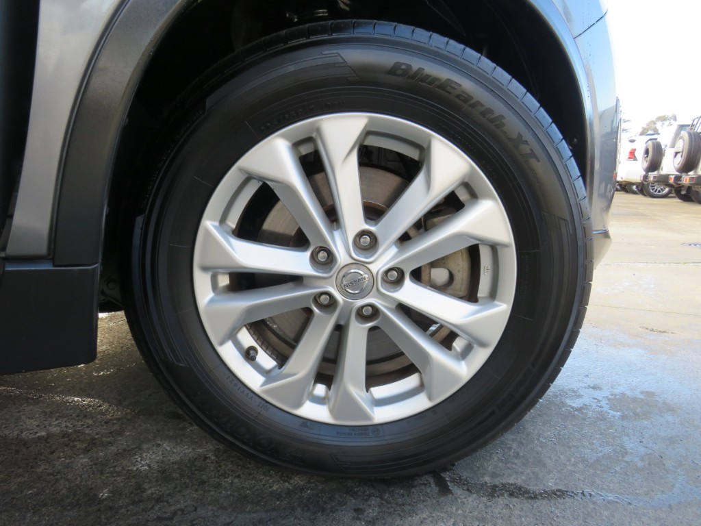 S8095310.jpg