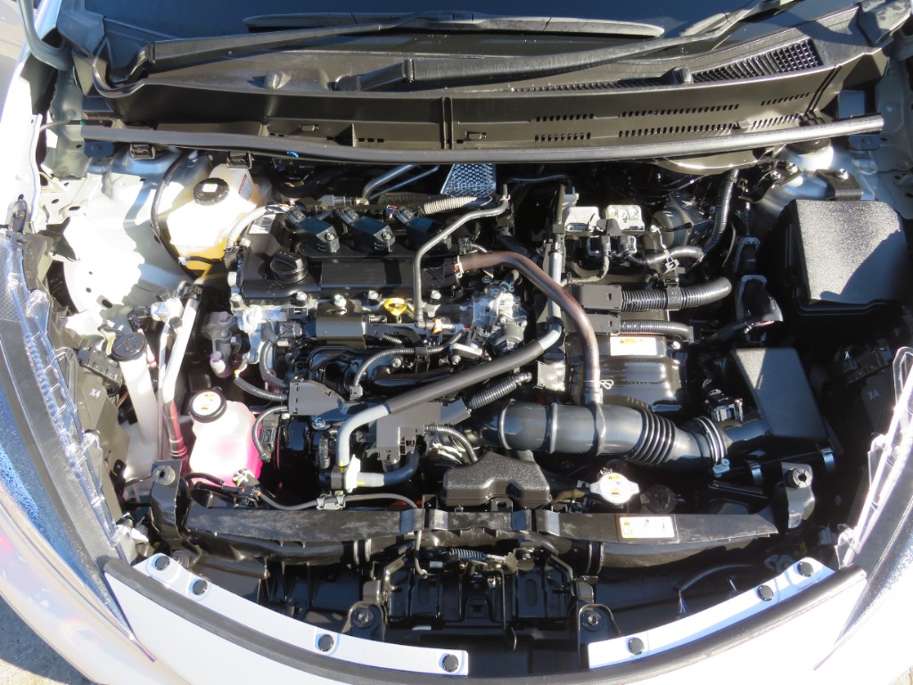 S8095420.jpg