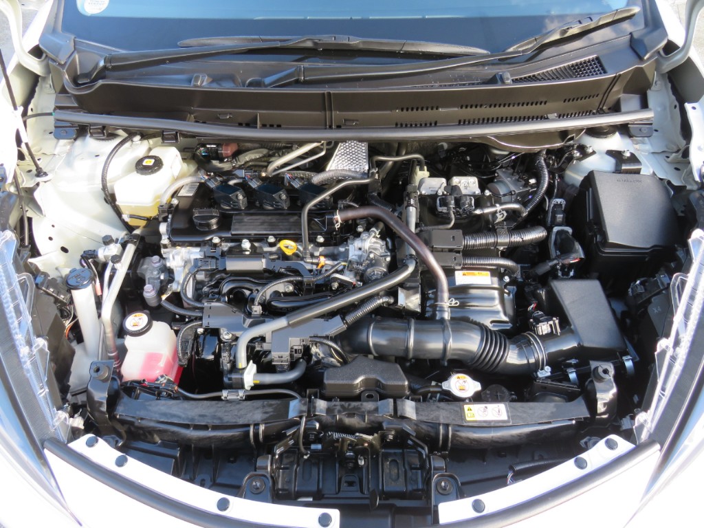 S8095520.jpg