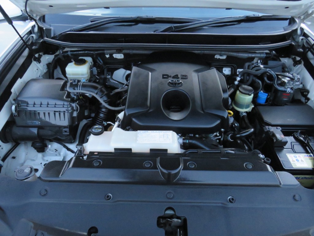 S8095721.jpg