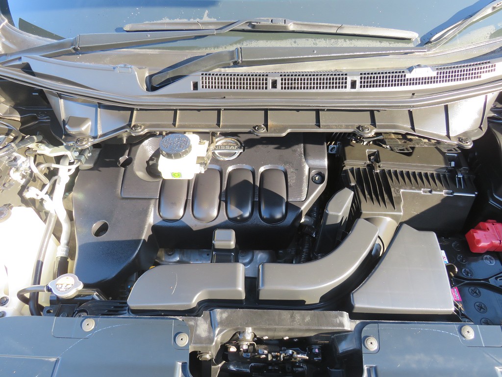 S8096620.jpg