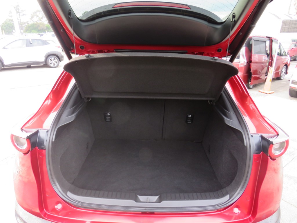 S8097511.jpg