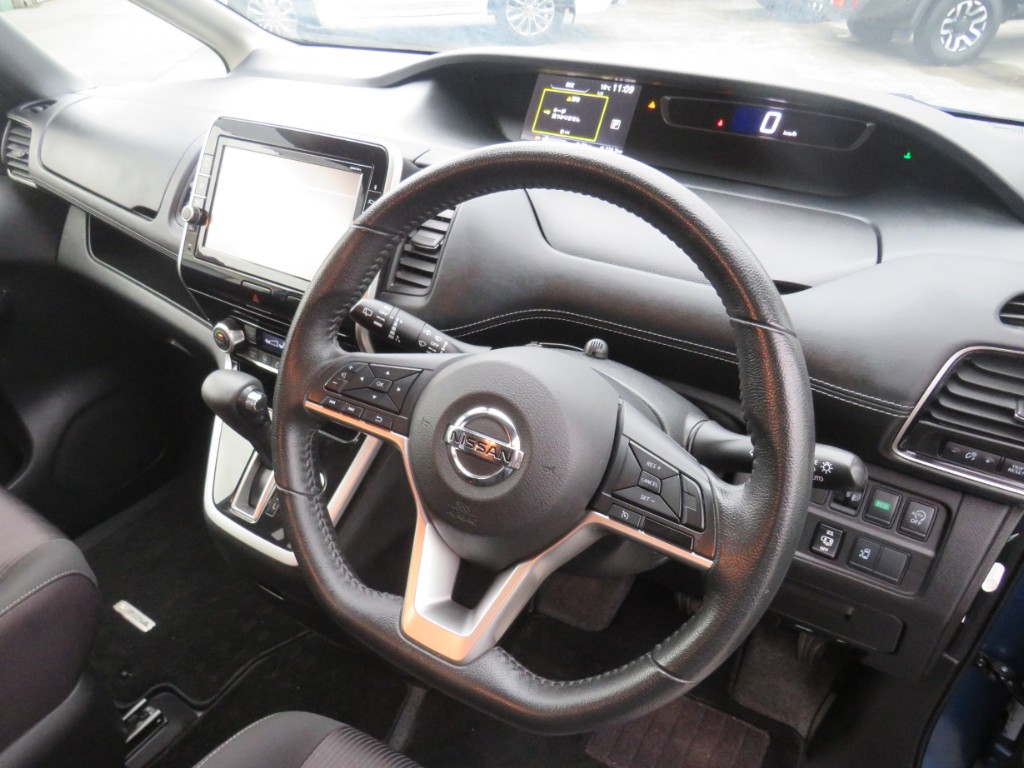 S8098215.jpg