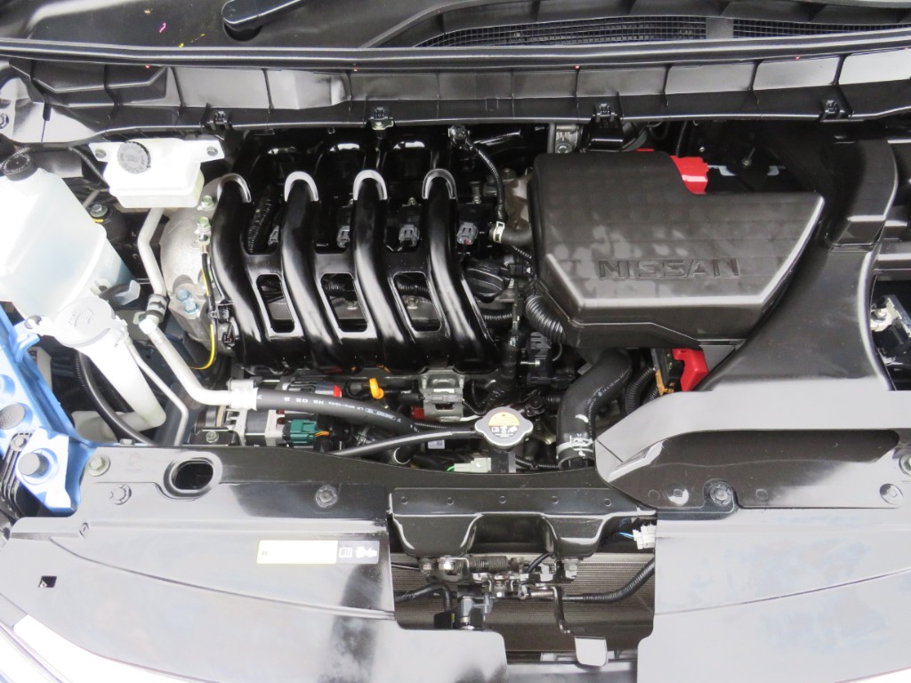 S8098220.jpg