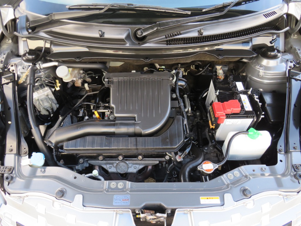 S8098920.jpg
