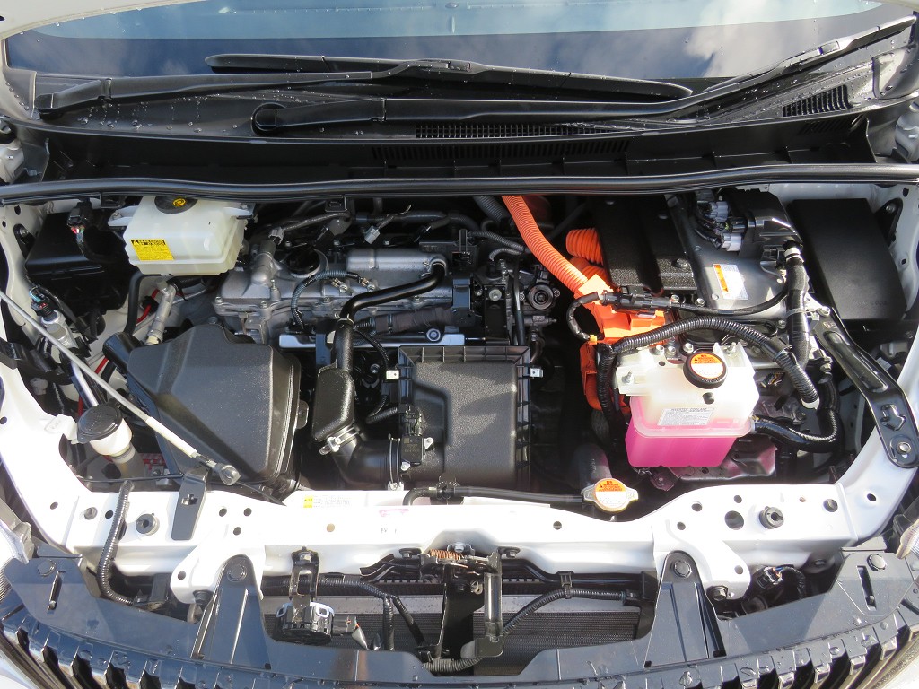 S8099121.jpg