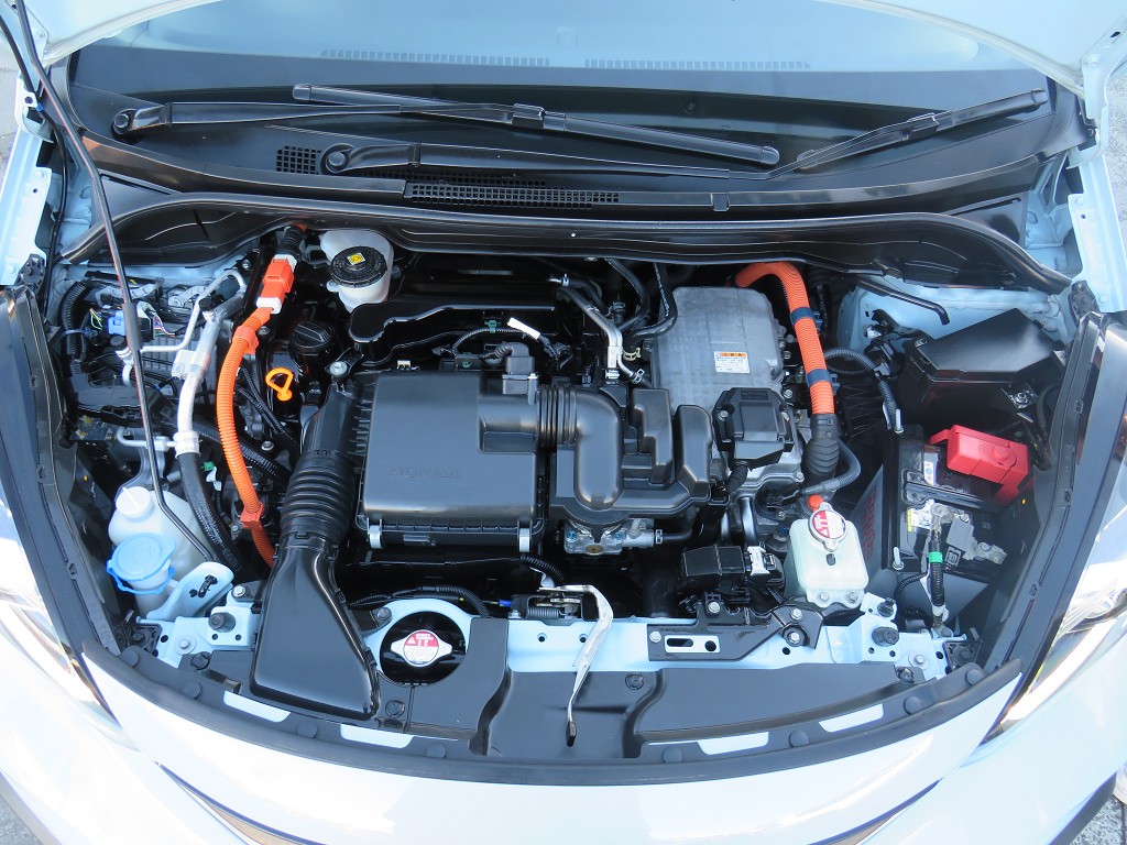S8099219.jpg