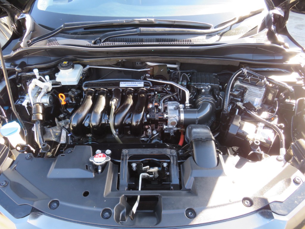 S8099419.jpg