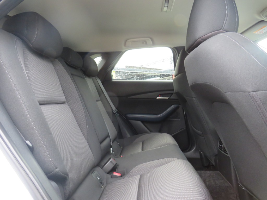 S8099611.jpg