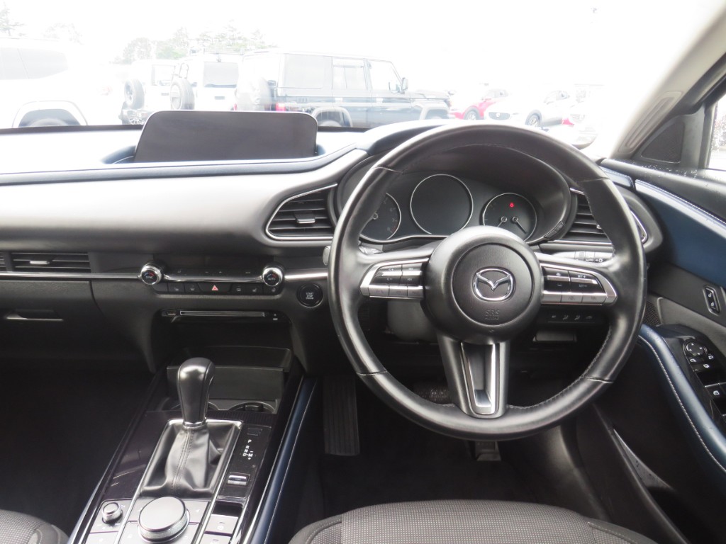S8099612.jpg
