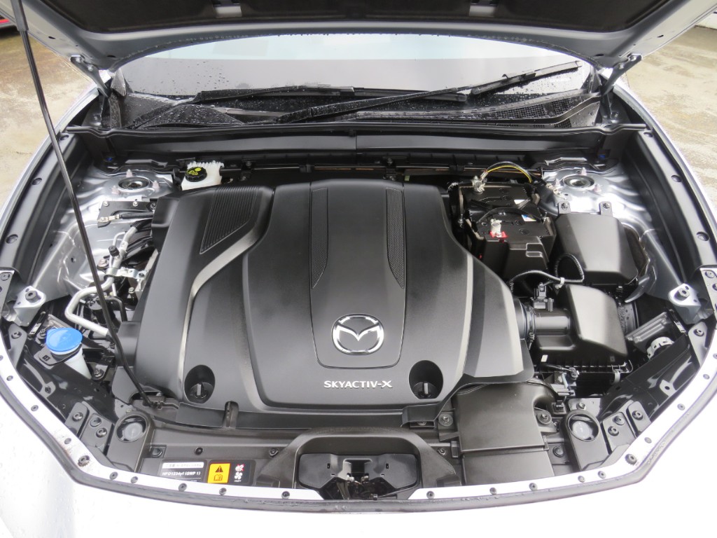 S8099620.jpg
