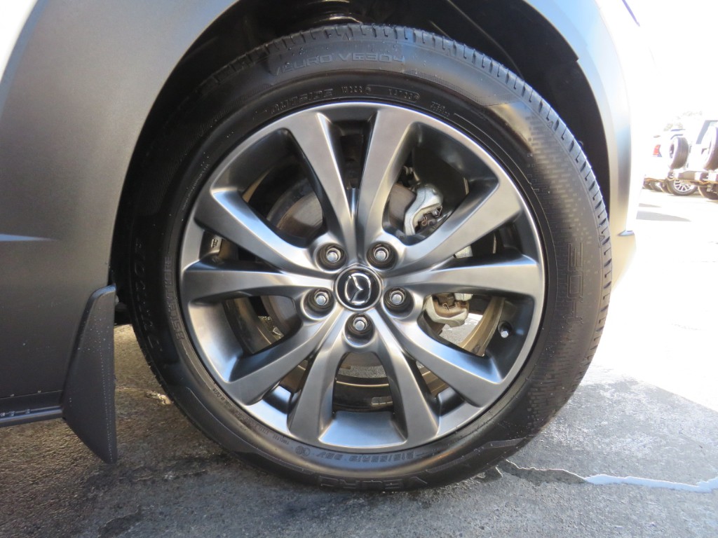 S8099710.jpg