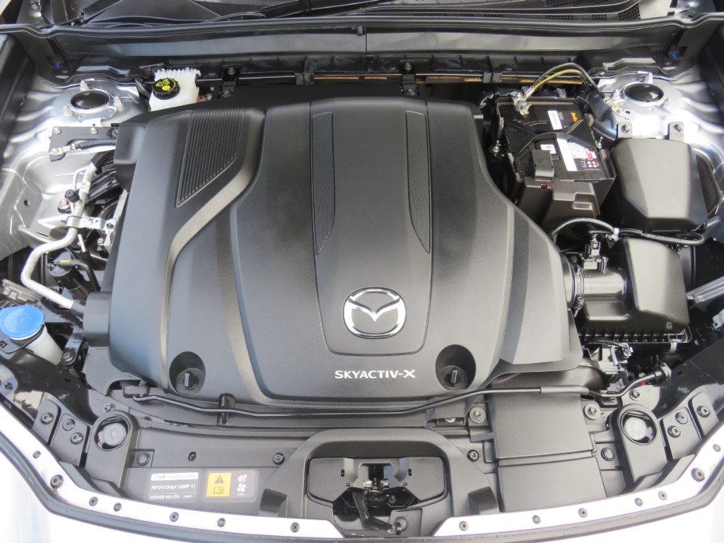 S8099821.jpg