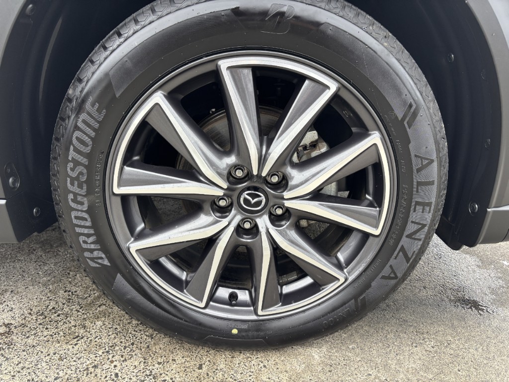 S8099918.jpg