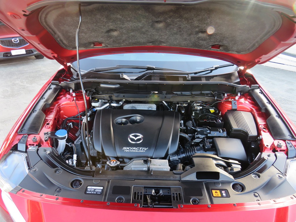 S8100020.jpg