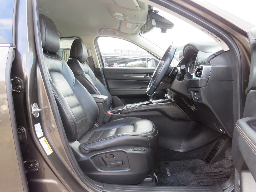 S8100113.jpg