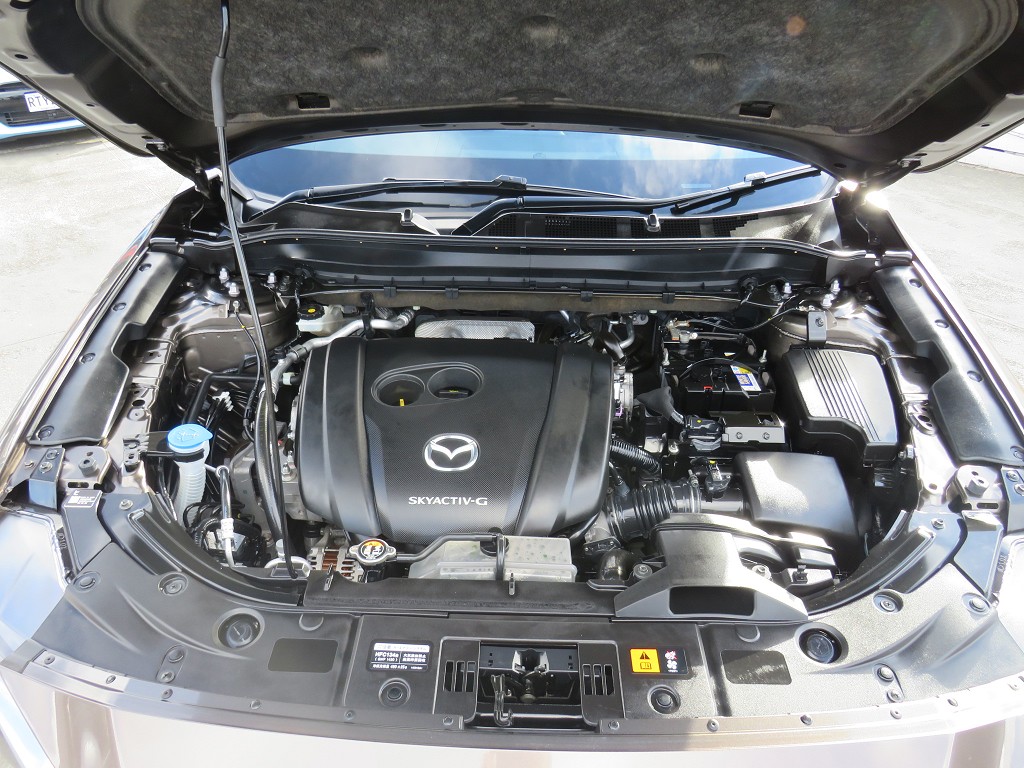 S8100121.jpg