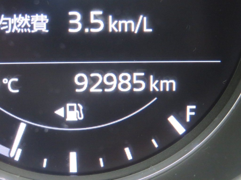 S8100220.jpg