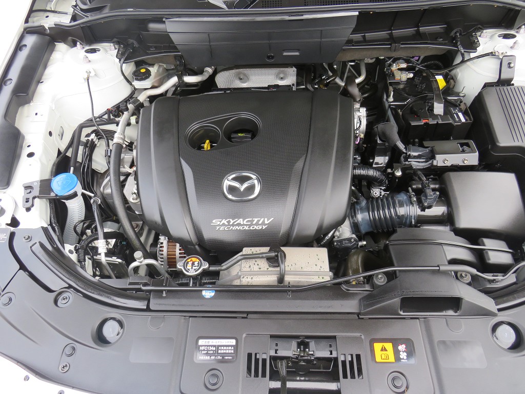 S8100221.jpg