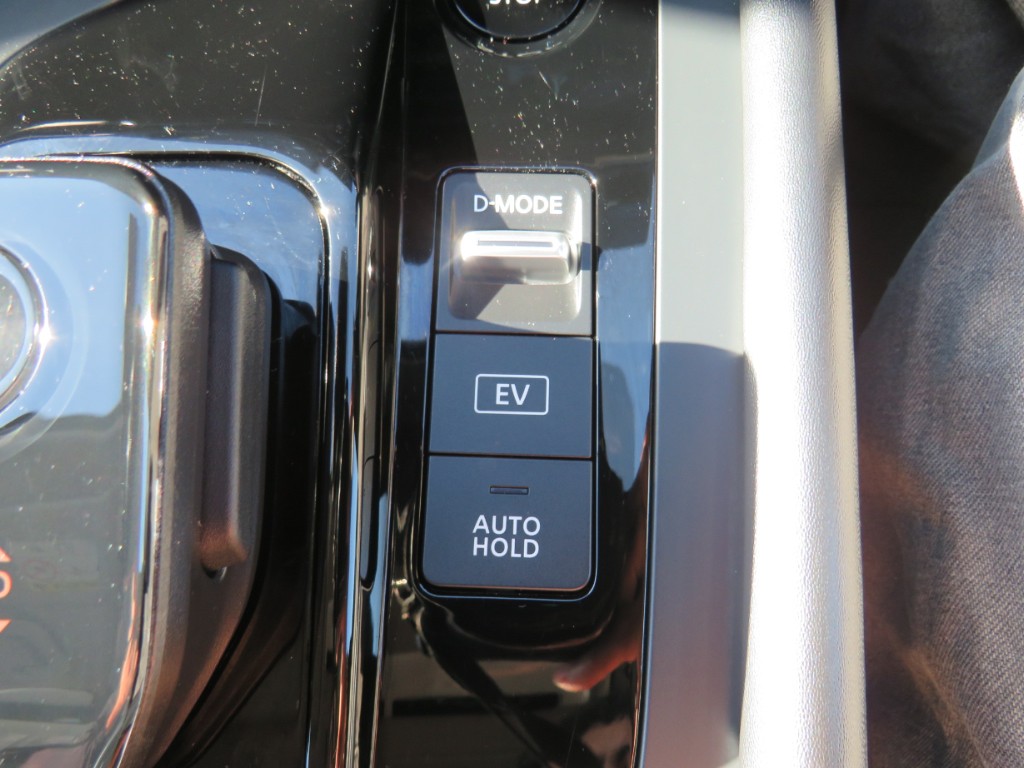 S8100317.jpg