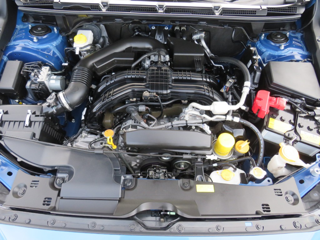 S8100821.jpg