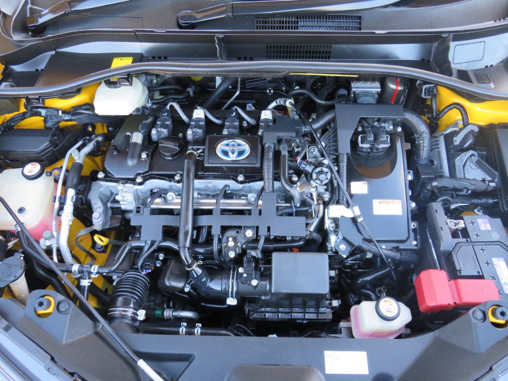 S8101419.jpg