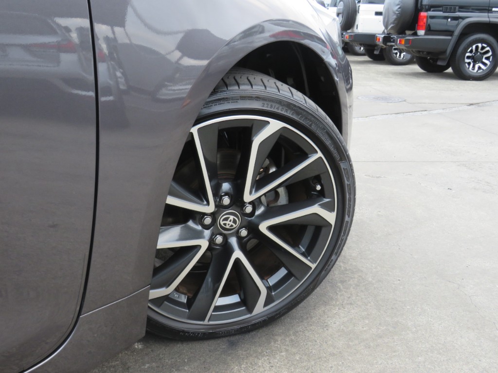 S8101610.jpg