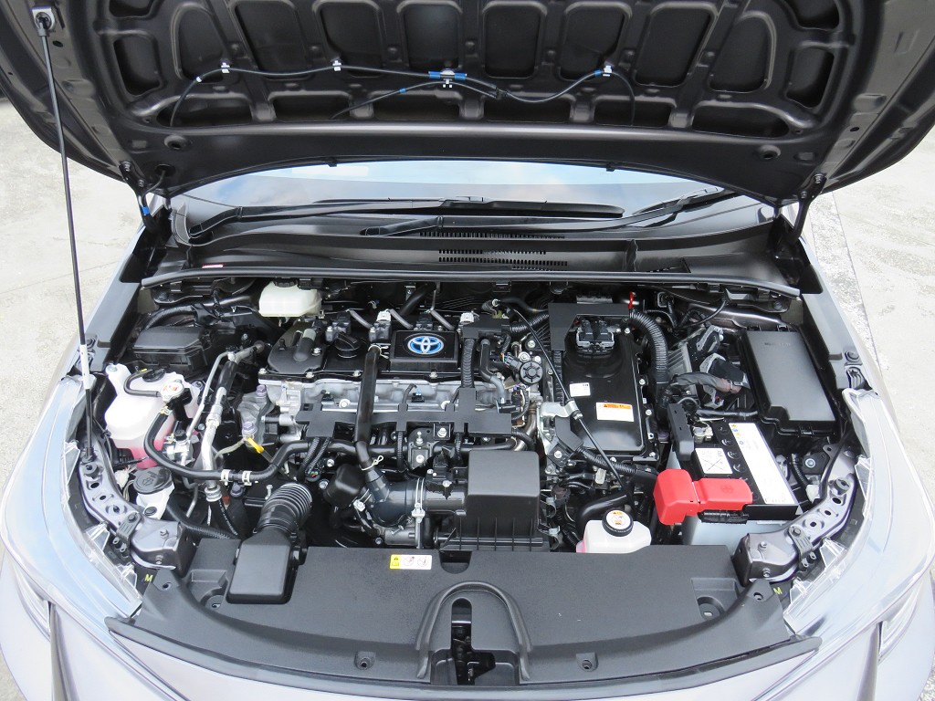 S8101620.jpg