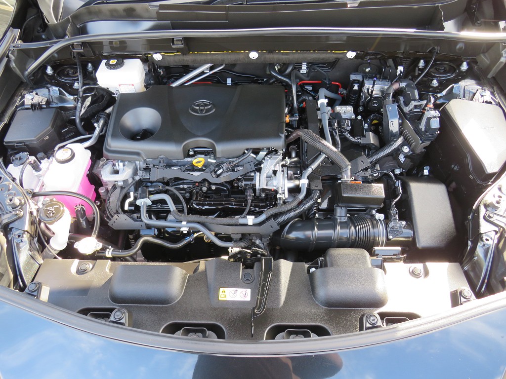 S8101920.jpg