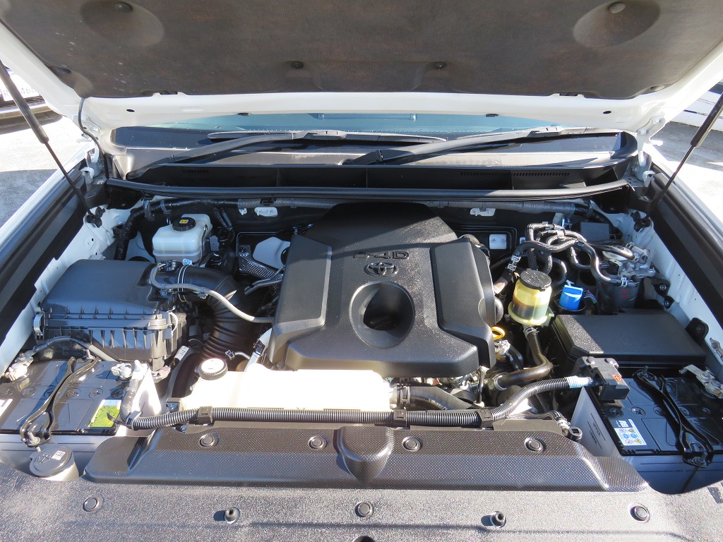 S8102120.jpg