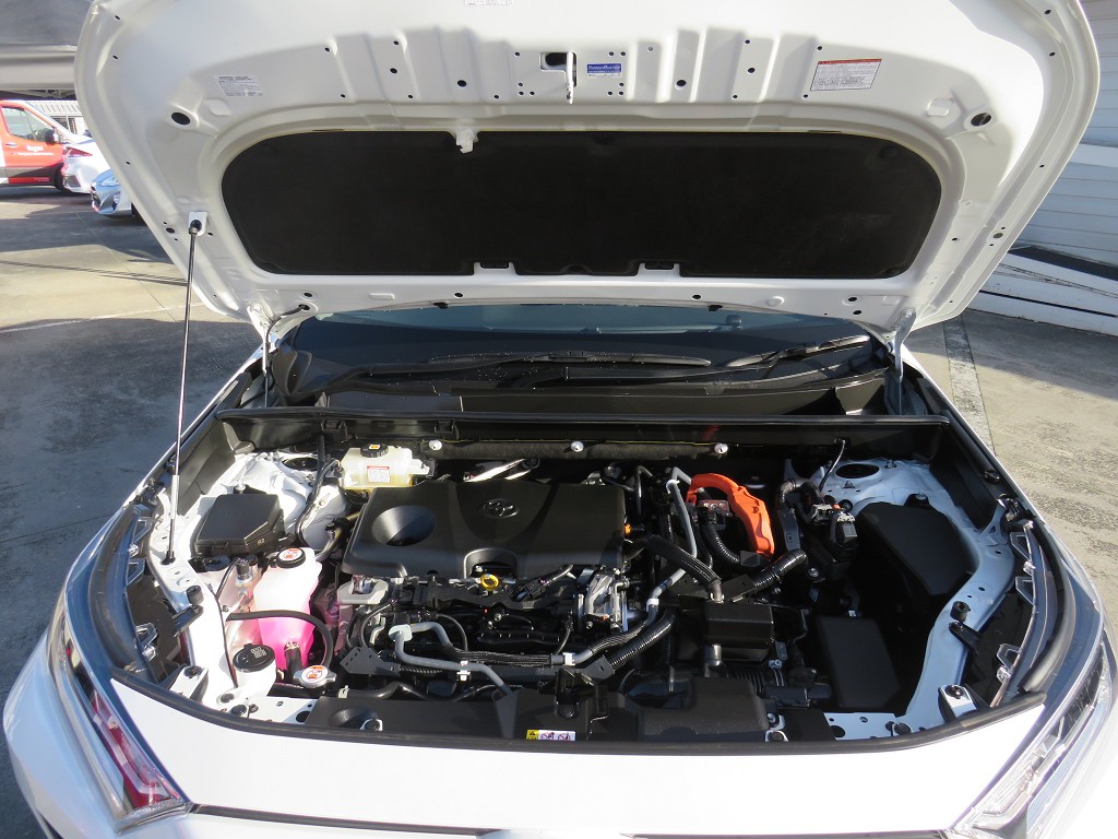 S8102520.jpg
