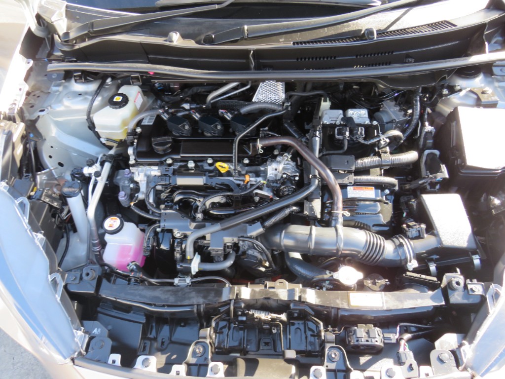 S8102921.jpg