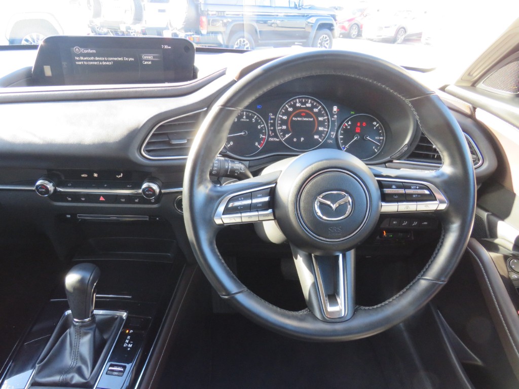 S8103012.jpg