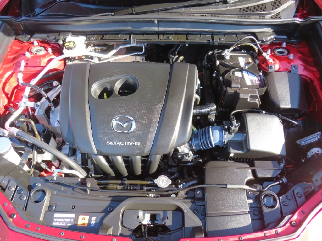 S8103019.jpg