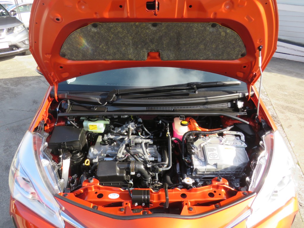 S8103619.jpg