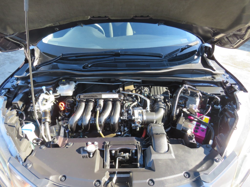 S8103820.jpg