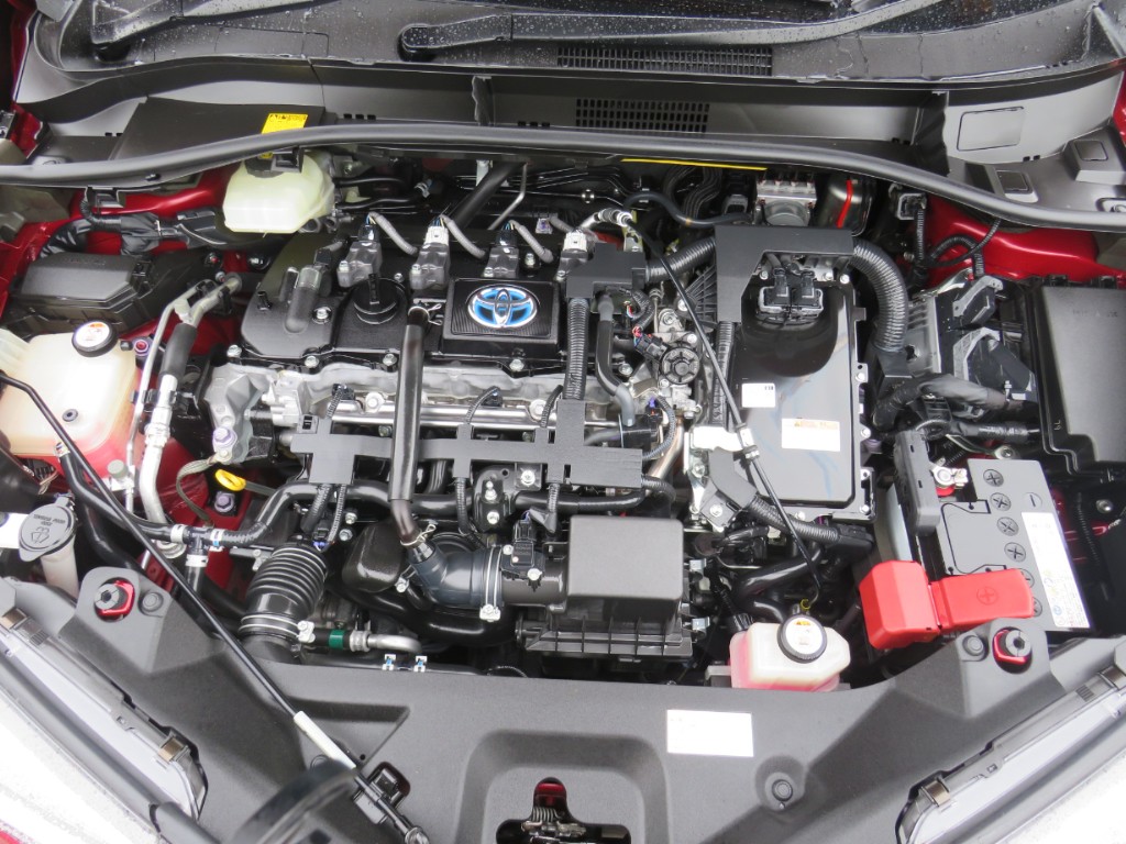 S8104620.jpg