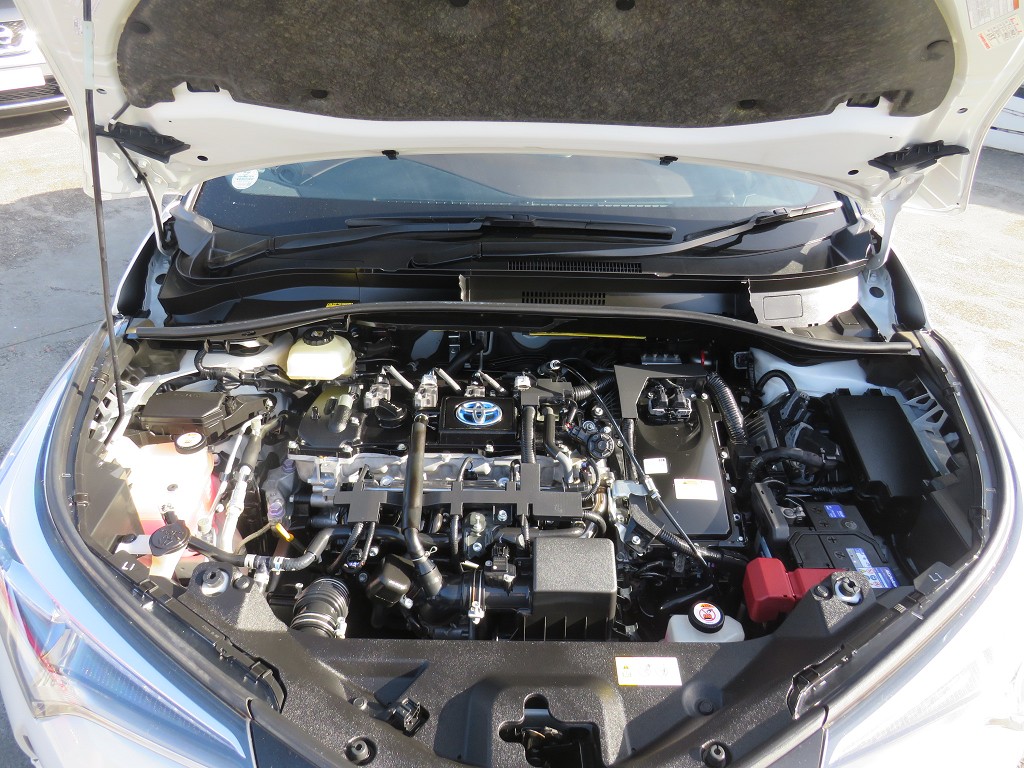 S8104719.jpg