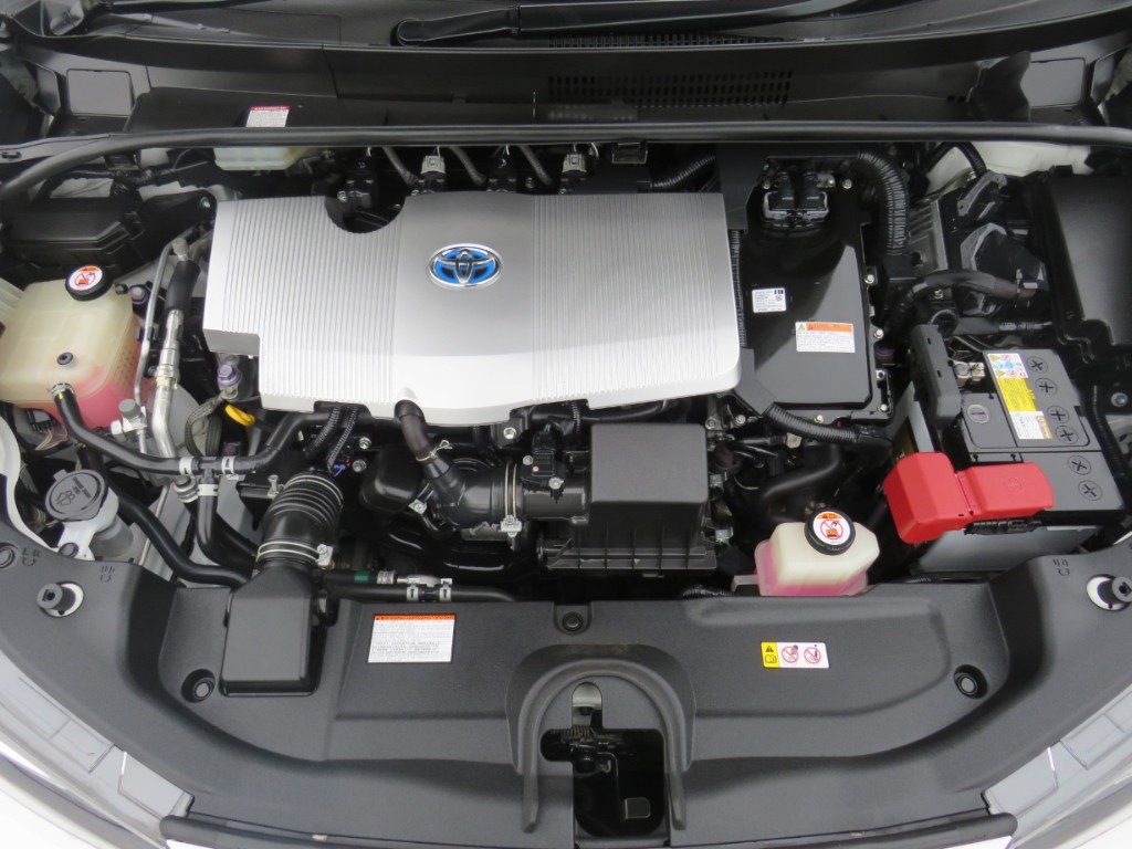 S8105120.jpg