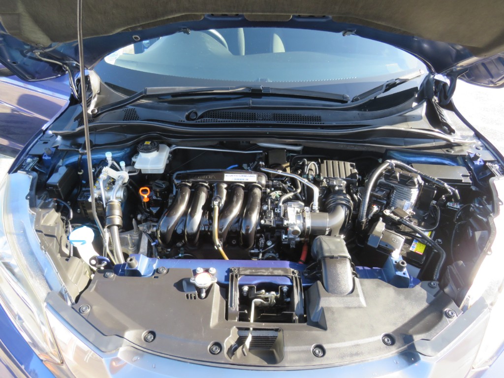 S8105220.jpg