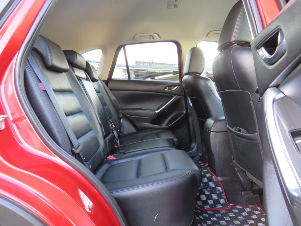 S8105411.jpg