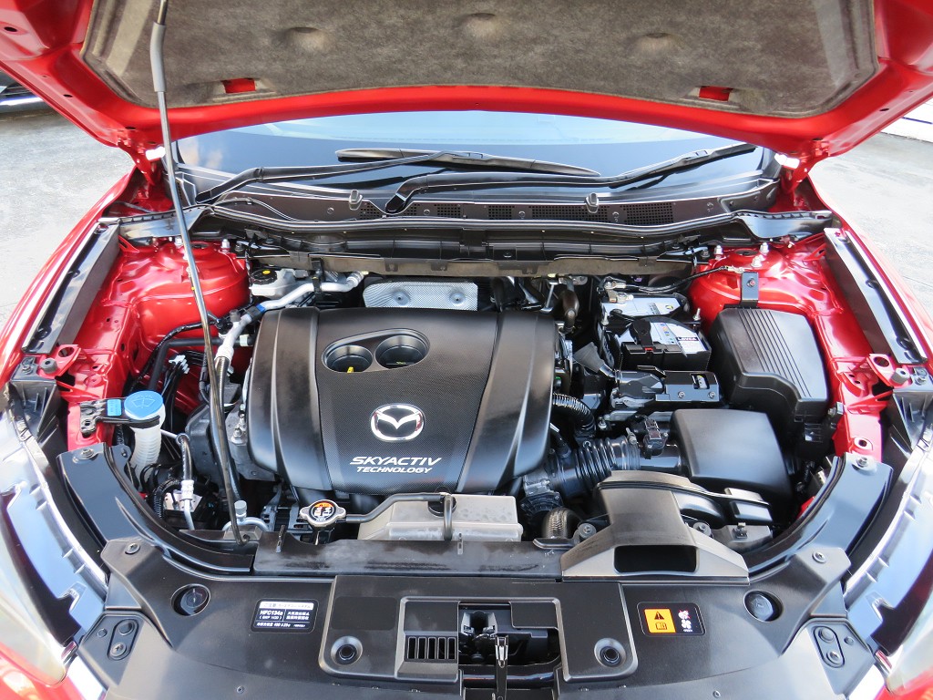S8105420.jpg