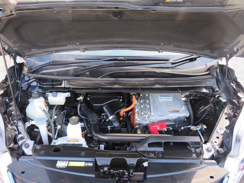 S8105520.jpg