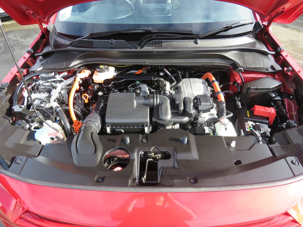 S8106420.jpg