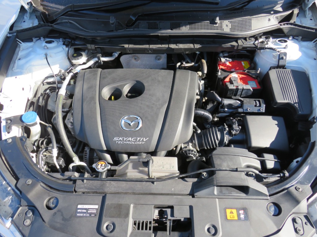 S8106519.jpg