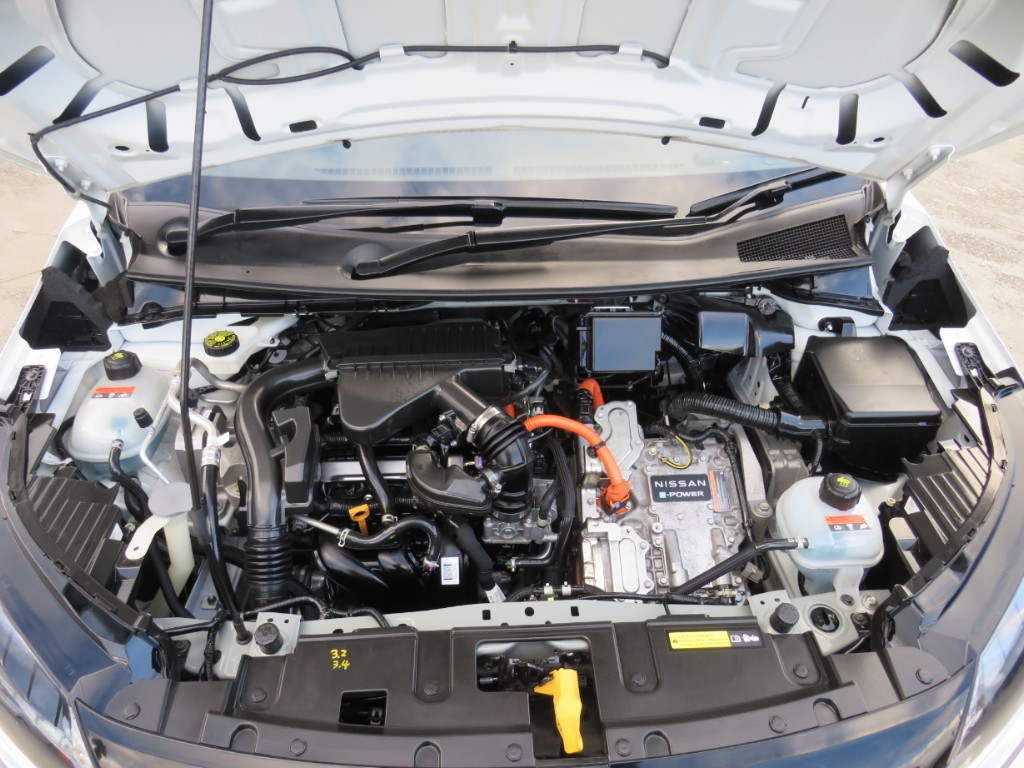 S8106619.jpg