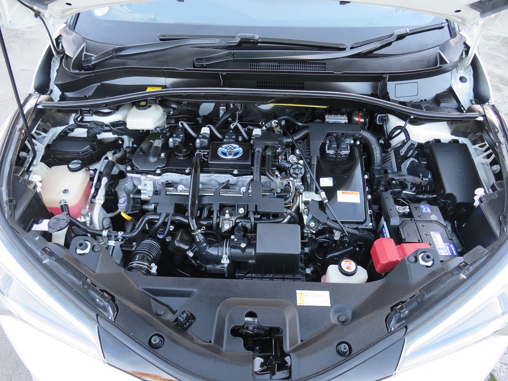 S8106920.jpg
