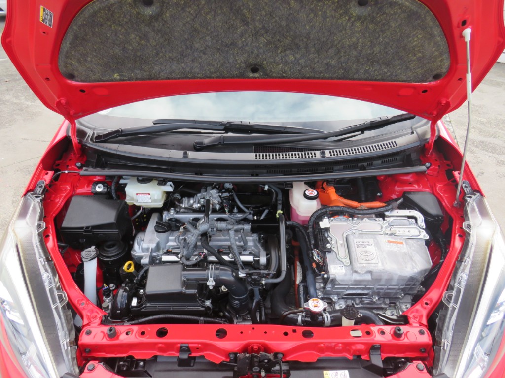 S8109020.jpg